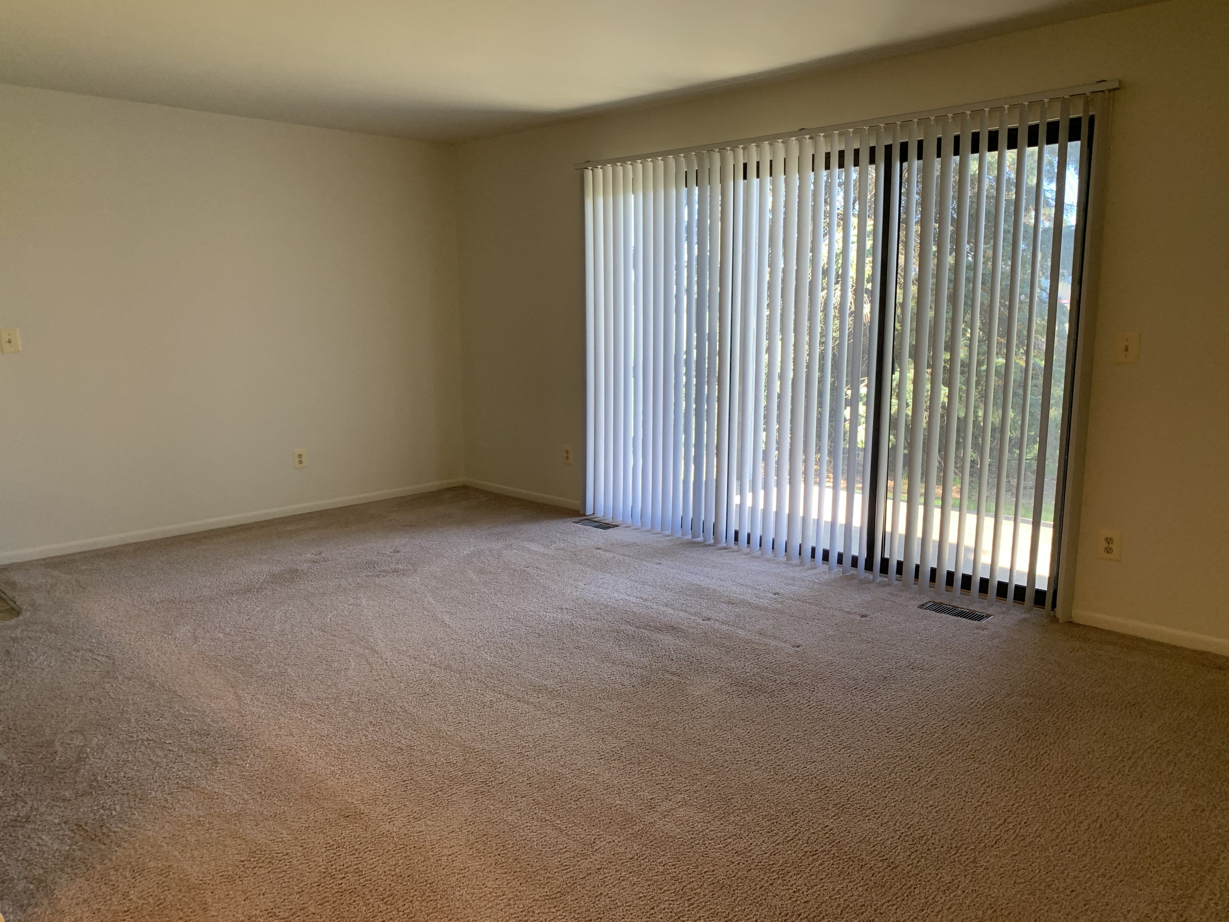 Gallery Photo 4